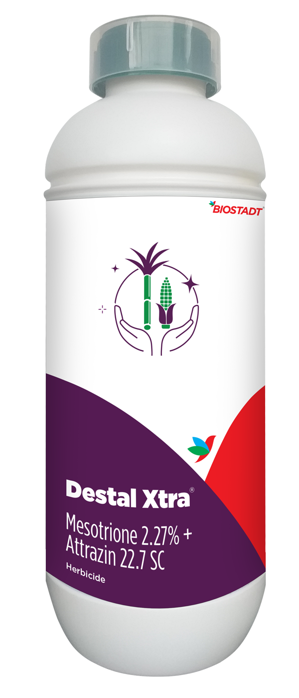 Destal Xtra