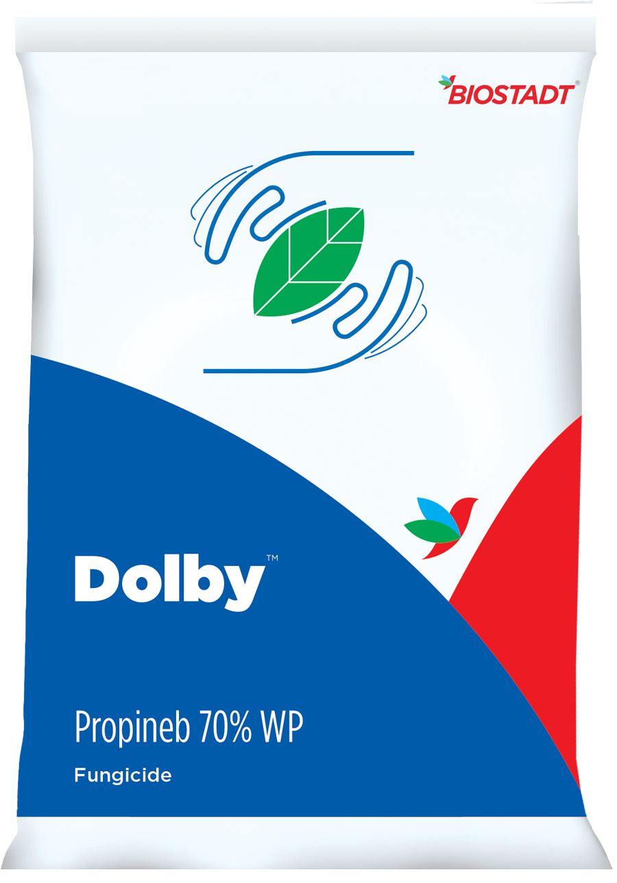 Dolby