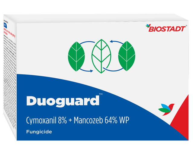 Duo Guard