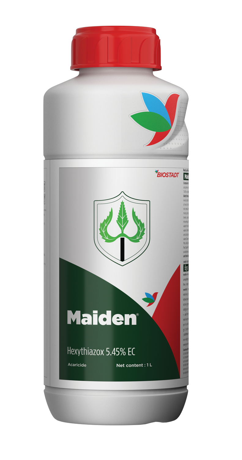 Maiden