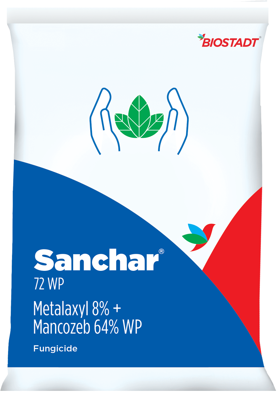 Sanchar