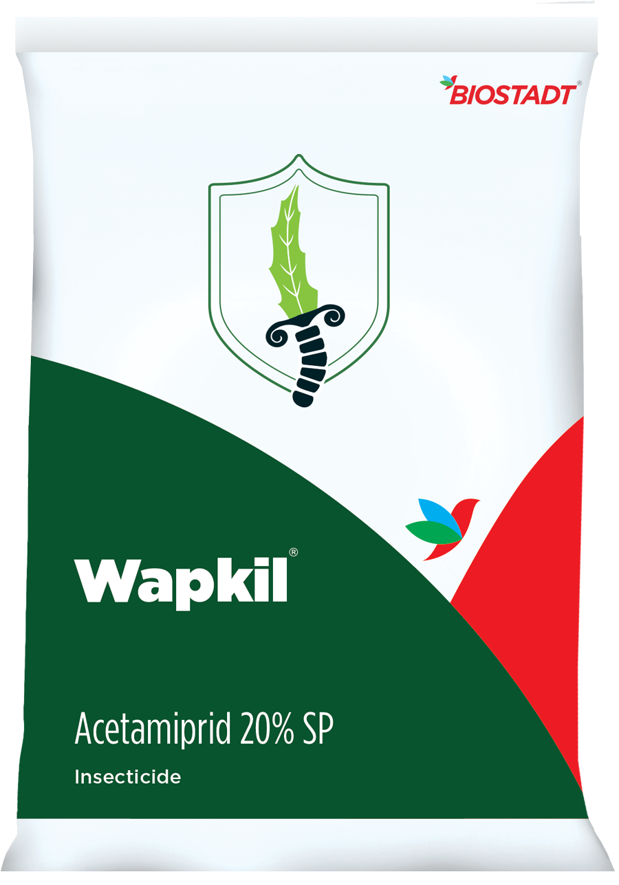 Wapkil