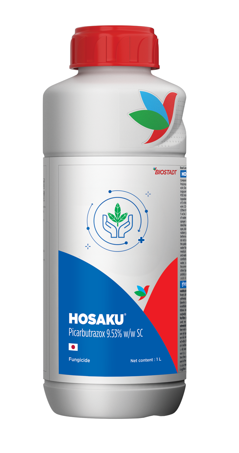 Hosaku