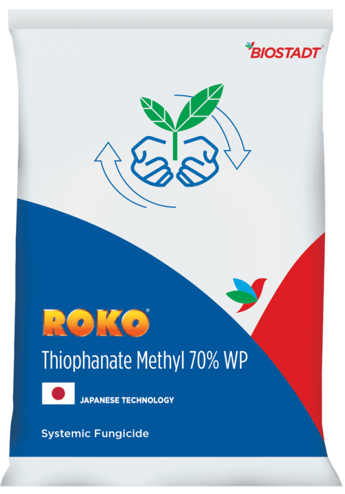 Roko