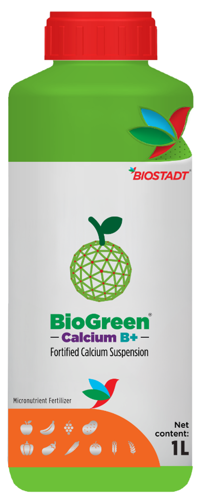 BioGreen Calcium B+