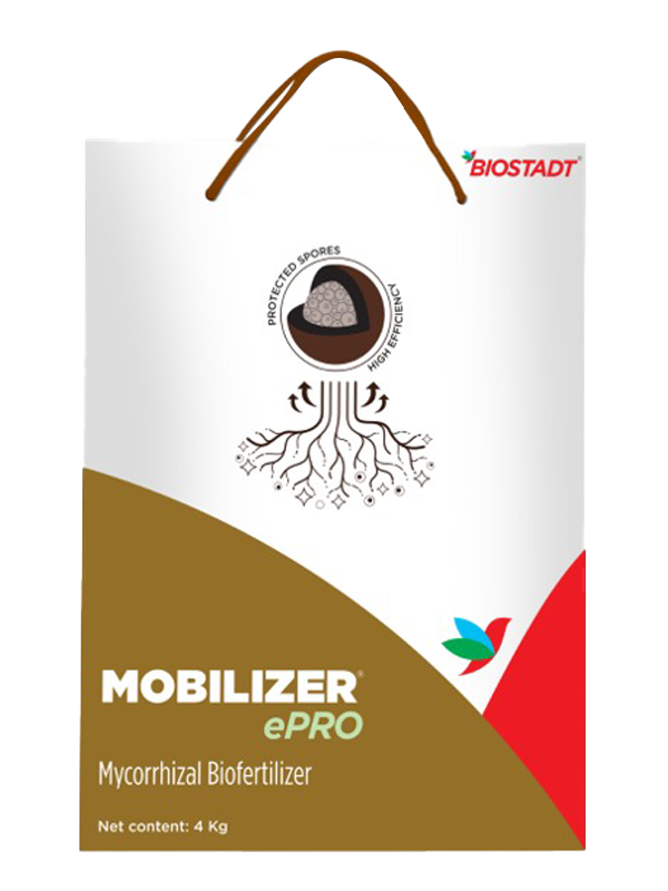 Mobilizer ePro