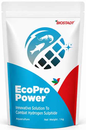 Eco-Pro-Power