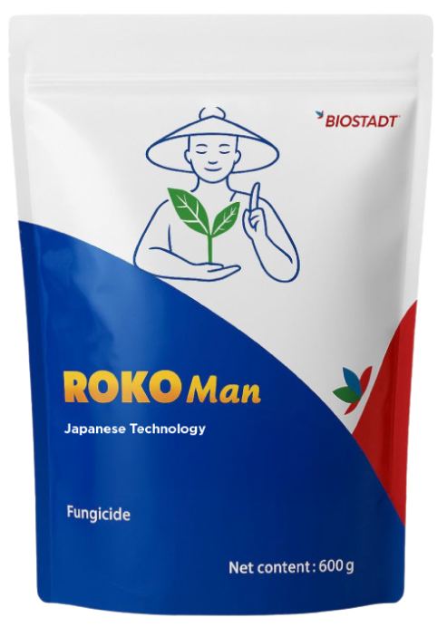 Roko Man