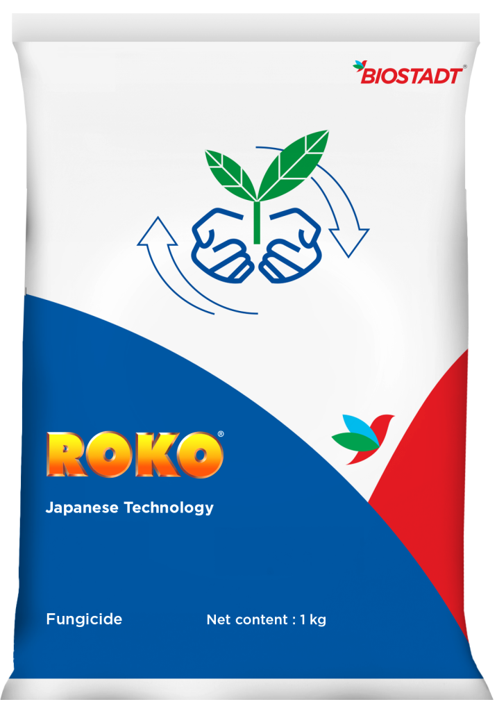 Roko