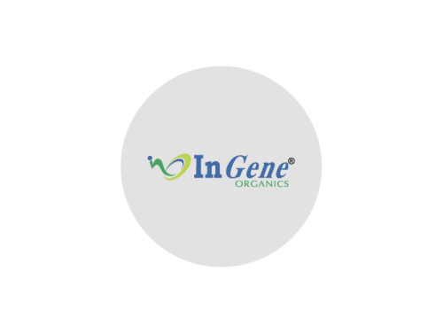 Website Icon-04
